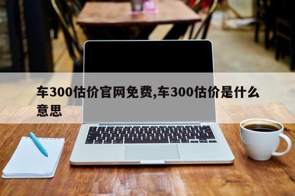 車300估價官網免費,車300估價是什么意思