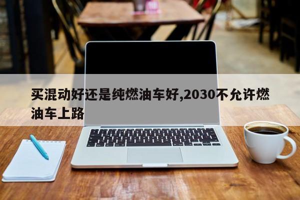 買混動好還是純?nèi)加蛙嚭?2030不允許燃油車上路