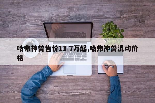 哈弗神獸售價11.7萬起,哈弗神獸混動價格