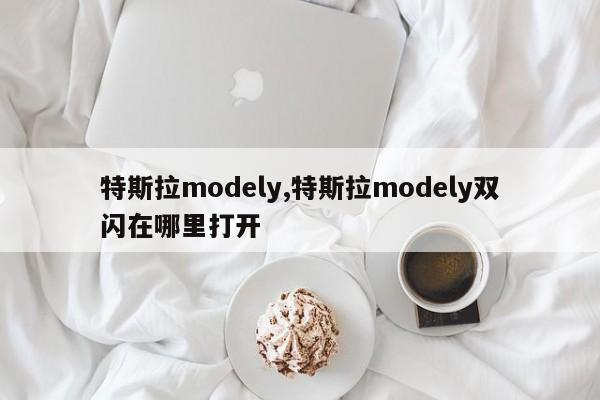 特斯拉modely,特斯拉modely雙閃在哪里打開(kāi)