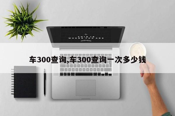 車300查詢,車300查詢一次多少錢