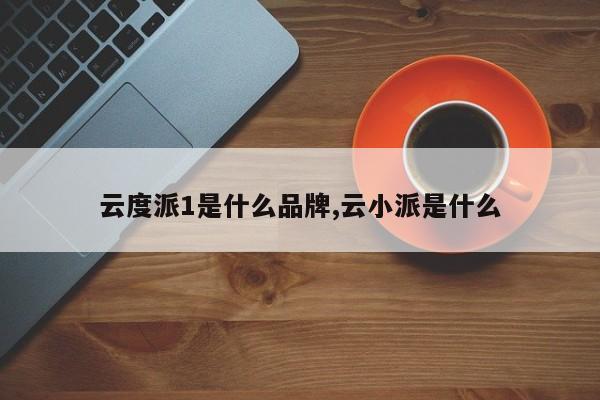 云度派1是什么品牌,云小派是什么