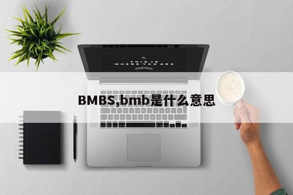 BMBS,bmb是什么意思