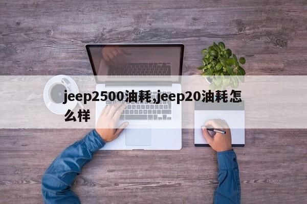 jeep2500油耗,jeep20油耗怎么樣