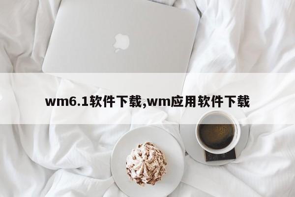 wm6.1軟件下載,wm應(yīng)用軟件下載