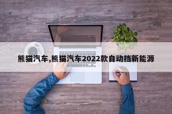 熊貓汽車,熊貓汽車2022款自動(dòng)擋新能源