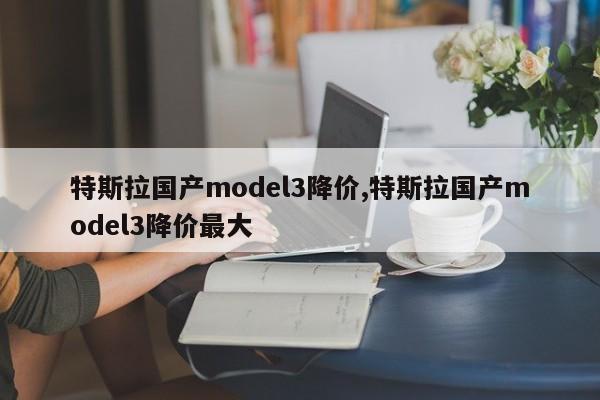 特斯拉國產(chǎn)model3降價(jià),特斯拉國產(chǎn)model3降價(jià)最大