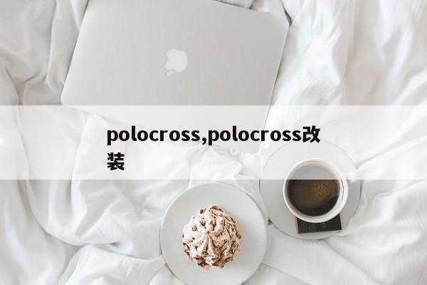 polocross,polocross改裝