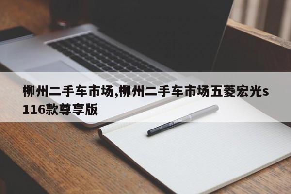 柳州二手車市場,柳州二手車市場五菱宏光s116款尊享版