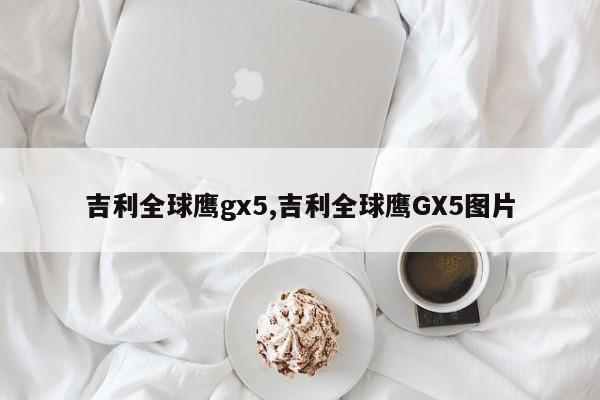 吉利全球鷹gx5,吉利全球鷹GX5圖片