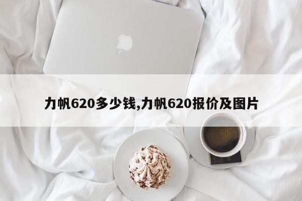 力帆620多少錢,力帆620報價及圖片