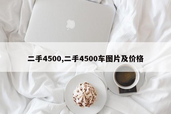 二手4500,二手4500車圖片及價格