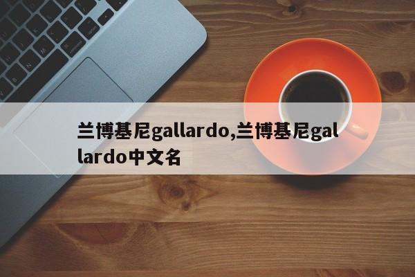 蘭博基尼gallardo,蘭博基尼gallardo中文名