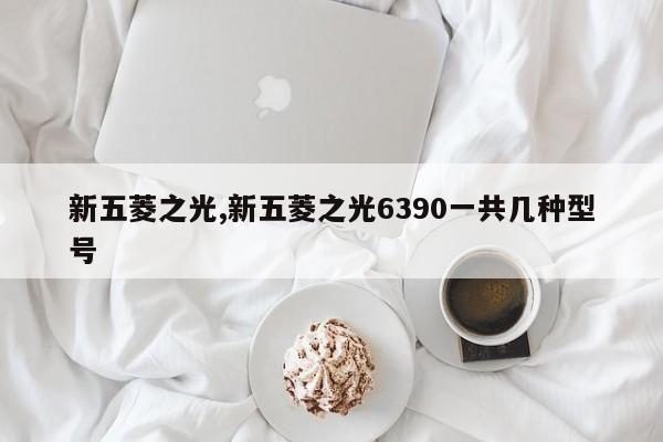 新五菱之光,新五菱之光6390一共幾種型號