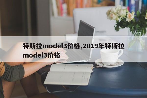 特斯拉model3價格,2019年特斯拉model3價格