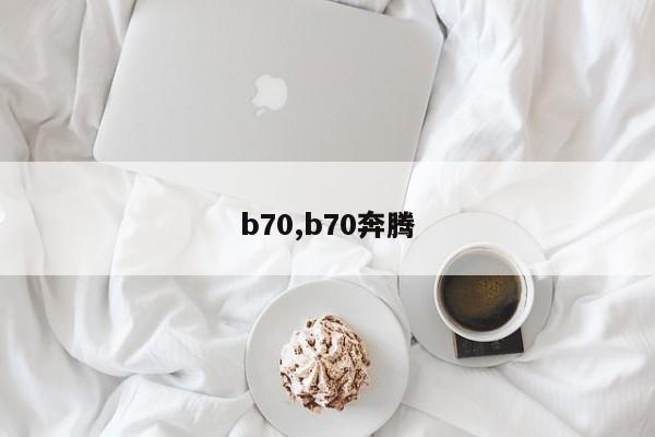 b70,b70奔騰