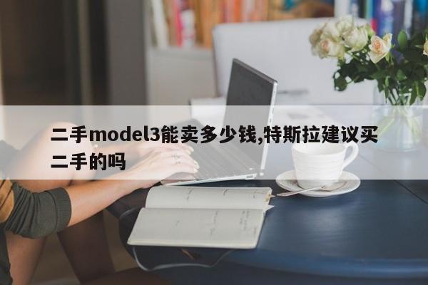 二手model3能賣(mài)多少錢(qián),特斯拉建議買(mǎi)二手的嗎