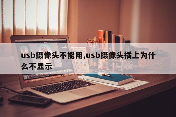 usb攝像頭不能用,usb攝像頭插上為什么不顯示