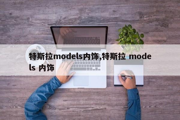 特斯拉models內(nèi)飾,特斯拉 models 內(nèi)飾