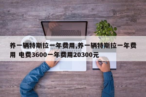 養(yǎng)一輛特斯拉一年費用,養(yǎng)一輛特斯拉一年費用 電費3600一年費用20300元