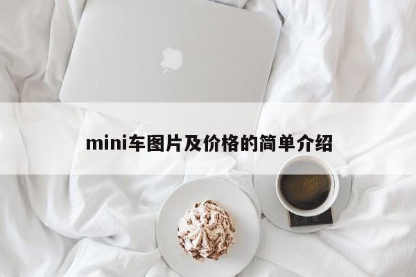 mini車圖片及價格的簡單介紹