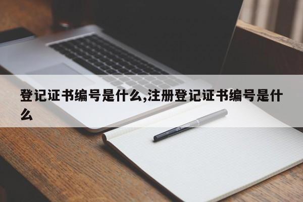 登記證書編號是什么,注冊登記證書編號是什么