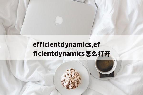 efficientdynamics,efficientdynamics怎么打開