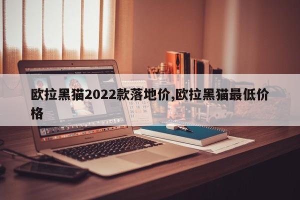 歐拉黑貓2022款落地價(jià),歐拉黑貓最低價(jià)格