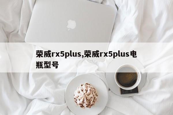 榮威rx5plus,榮威rx5plus電瓶型號