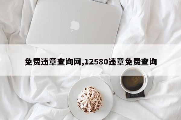 免費違章查詢網(wǎng),12580違章免費查詢